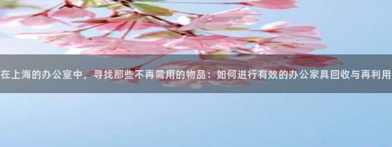 星欧娱乐是正规平台吗