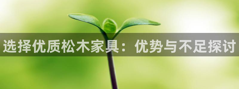 星欧娱乐游戏