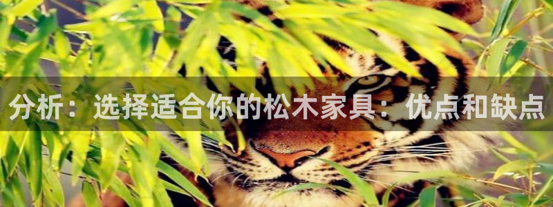 欧星娱乐国际平台