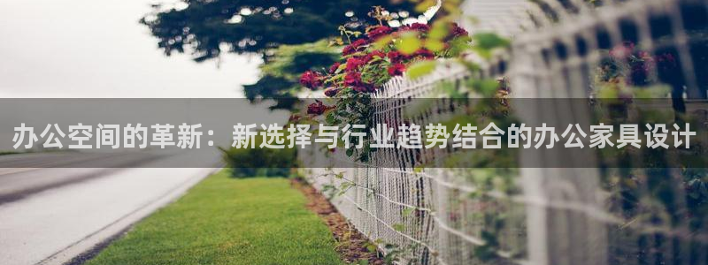 星欧娱乐代理