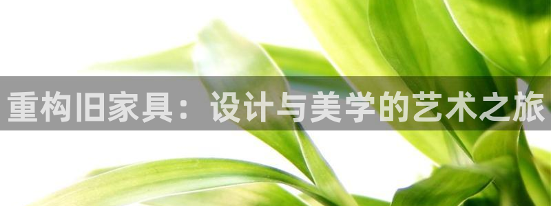 欧星娱乐的盘口