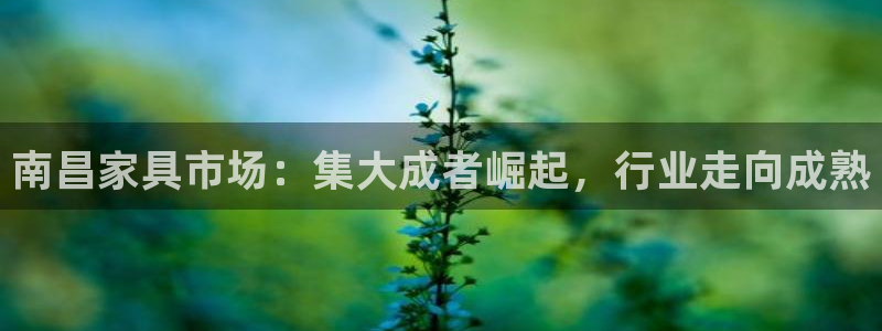 星欧娱乐平台是否靠谱