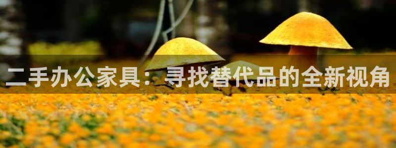 星欧娱乐旗下艺人名单