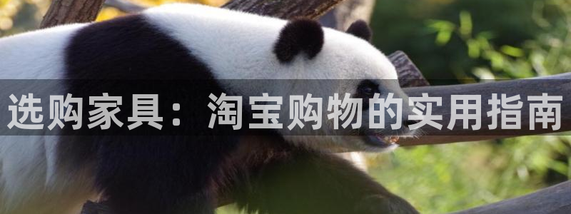 星欧娱乐招商
