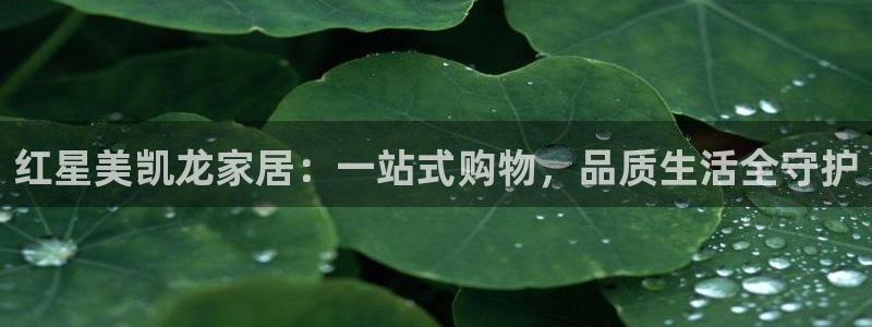 欧乐星城团购娱乐
