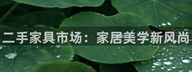 欧亿2娱乐诗星22650j