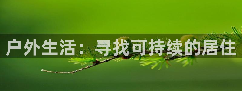 星欧娱乐主管