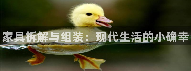 星欧娱乐2024