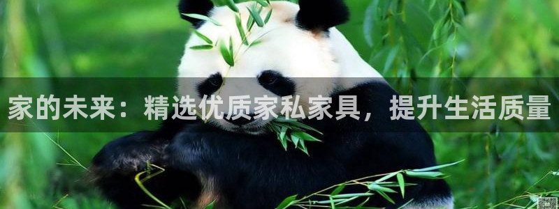 星欧娱乐平台测速线路