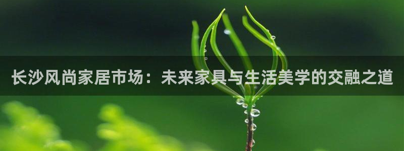 星欧娱乐官网客服电话