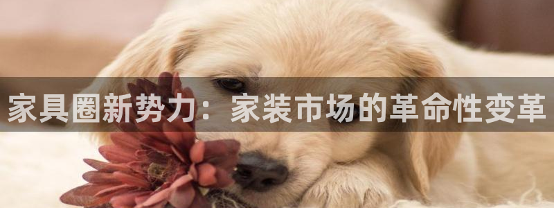 欧星娱乐的活动