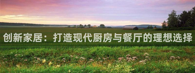星辉娱乐进入欧联杯