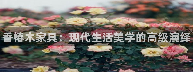 星欧娱乐平台主管