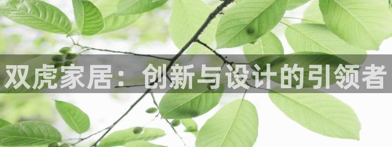 星欧娱乐最新动态消息