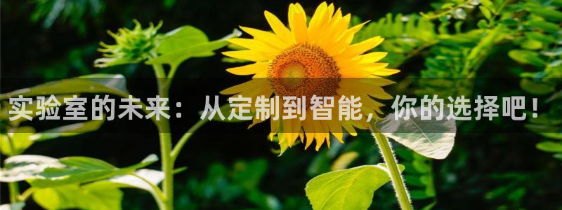欧星娱乐棋牌