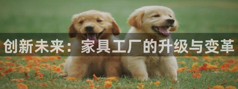 星辉娱乐进入欧联杯