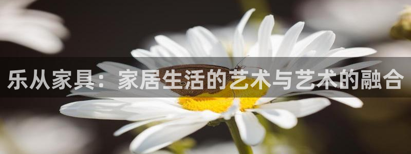 欧星娱乐备用网址