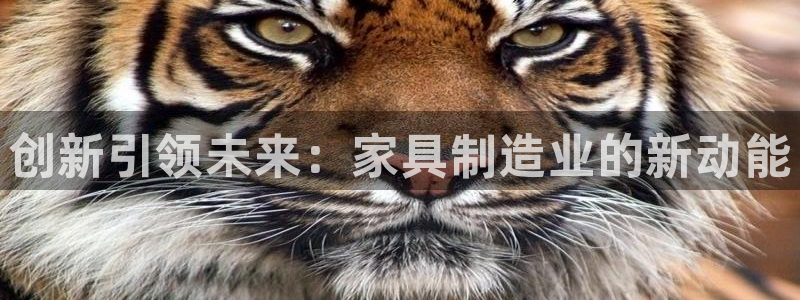 金欧岗星熠娱乐