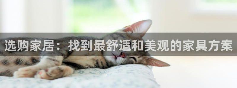 星欧娱乐最新消息今天