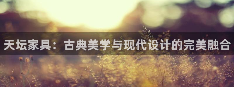 星欧娱乐公司