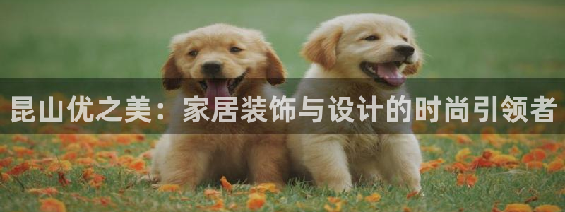 星欧娱乐招商非7O777