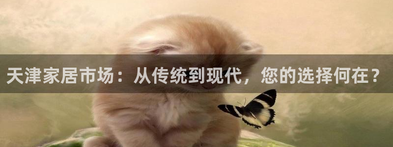 星娱乐online欧豪