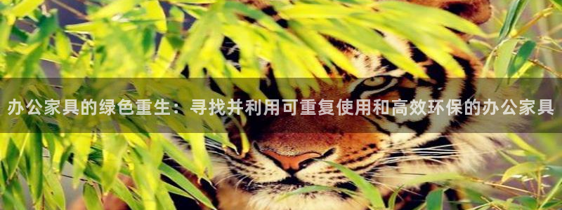 欧星科技娱乐公司