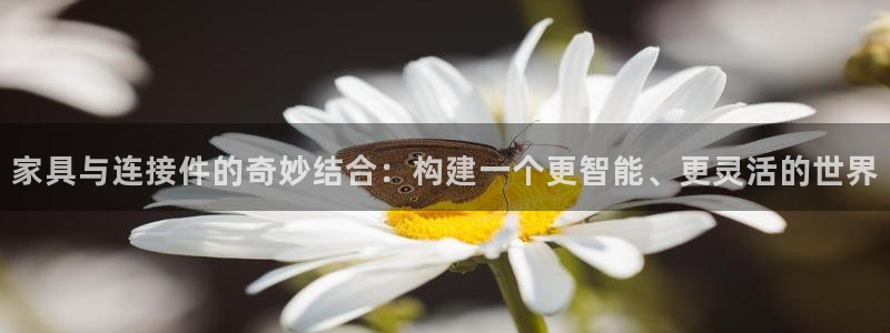 欧星娱乐棋牌怎么样