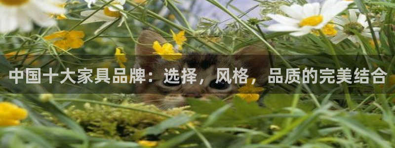星欧娱乐倒闭了吗