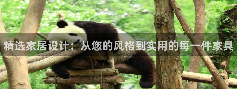 星欧娱乐平台