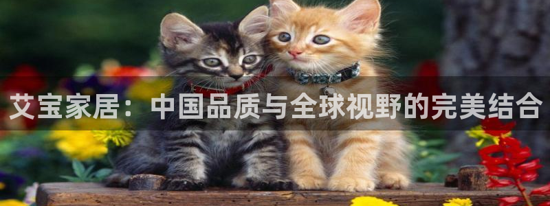 欧星娱乐主播