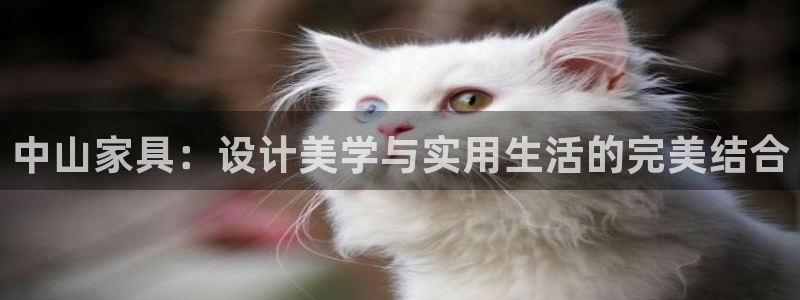 星欧娱乐赞7O777