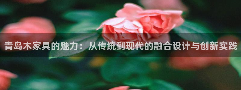 星辉娱乐进入欧联杯