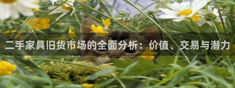武汉欧汇星娱乐城