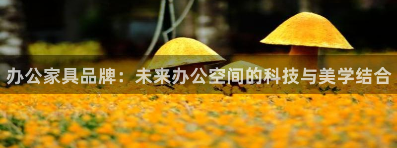 星欧娱乐606251