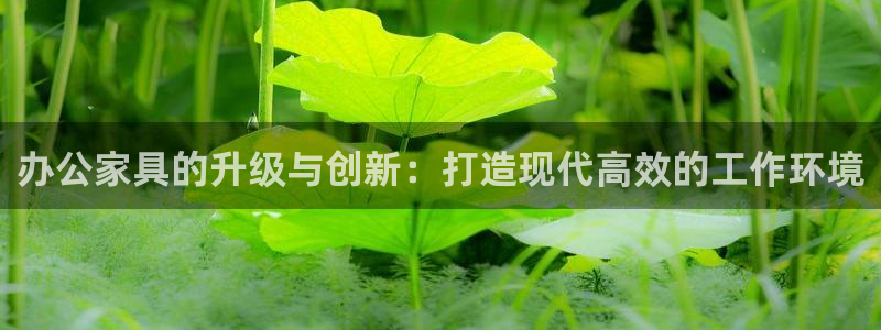 欧星娱乐网址