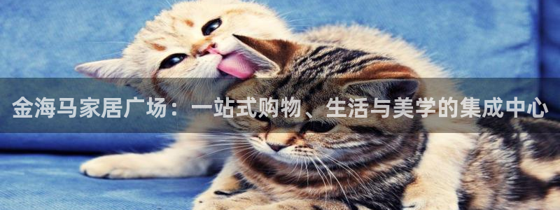 星欧娱乐招商81338：金海马家居广场：一站式购物、生活与美