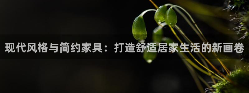 星欧娱乐平台主管