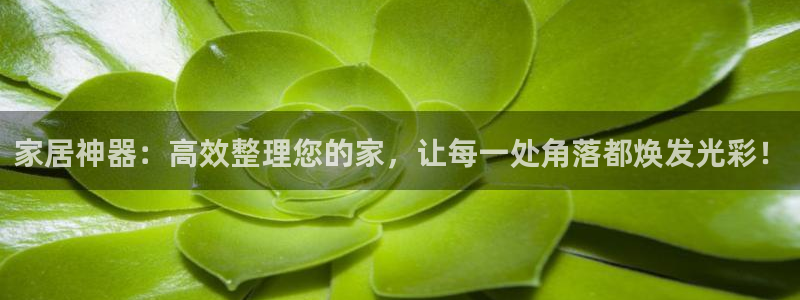 欧星娱乐的活动