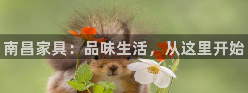 欧星娱乐网址接受