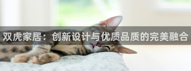 星欧娱乐平台测速线路