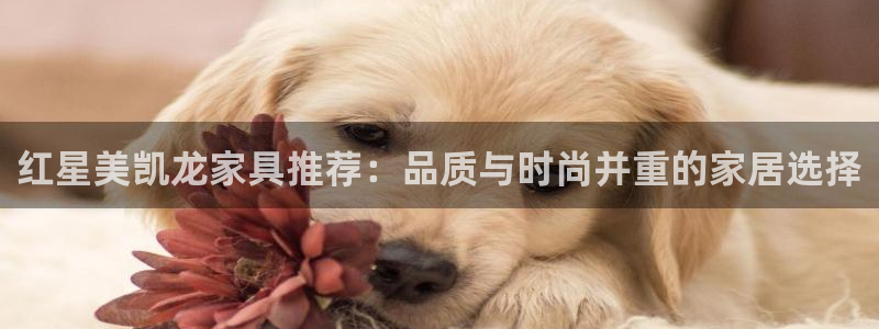 菲律宾亚星国际娱乐欧博