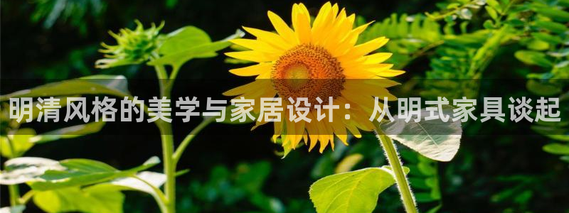 星欧娱乐注册客服电话