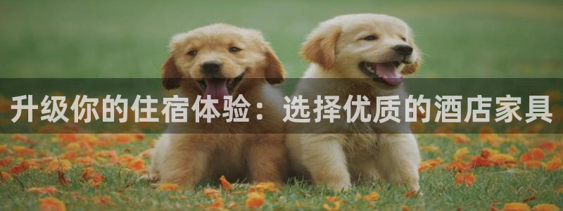 星欧娱乐注册章7O777：升级你的住宿体验：选择优质的酒店家