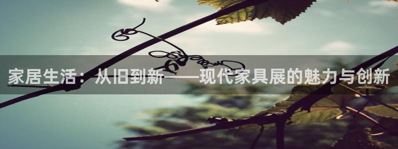 注册星欧娱乐需要多少钱