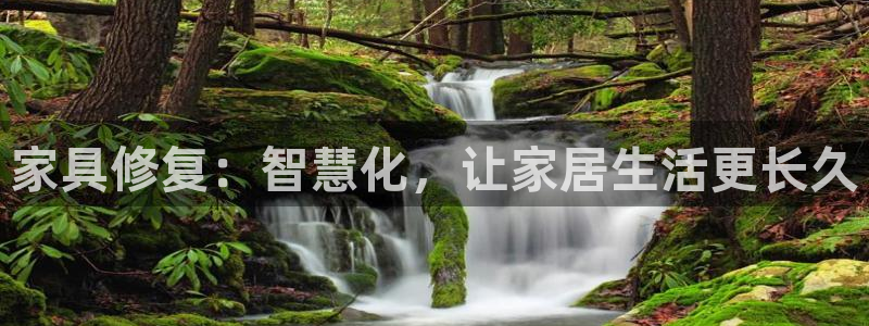 星欧娱乐的创始人背景