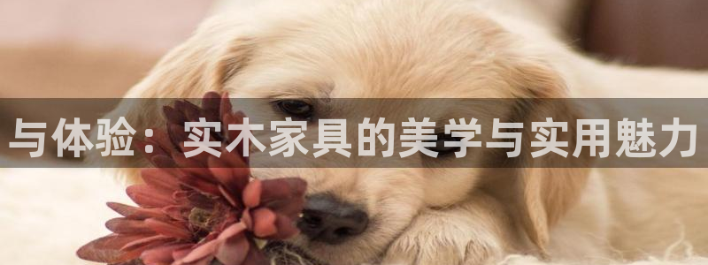 星欧娱乐最新消息今天