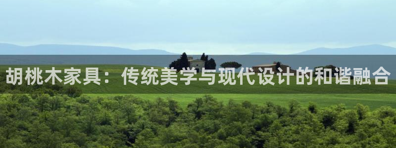 星辉娱乐进入欧联杯