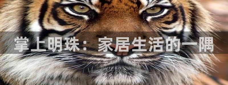欧乐星城好玩的娱乐场所