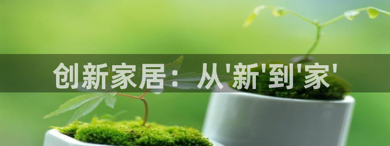 星欧娱乐平台注册入口